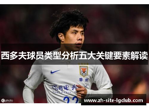 西多夫球员类型分析五大关键要素解读