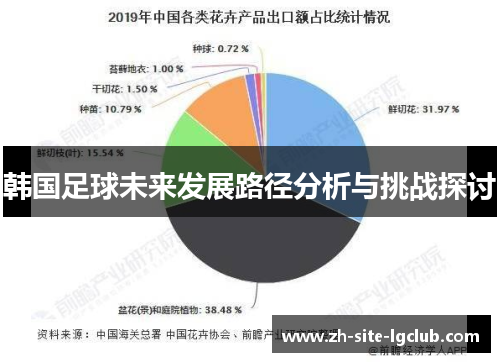 韩国足球未来发展路径分析与挑战探讨 韩国足球未来发展路径分析与挑战探讨
