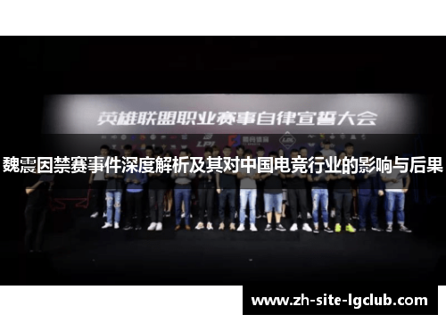 魏震因禁赛事件深度解析及其对中国电竞行业的影响与后果 魏震因禁赛事件深度解析及其对中国电竞行业的影响与后果